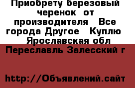 Приобрету березовый черенок  от производителя - Все города Другое » Куплю   . Ярославская обл.,Переславль-Залесский г.